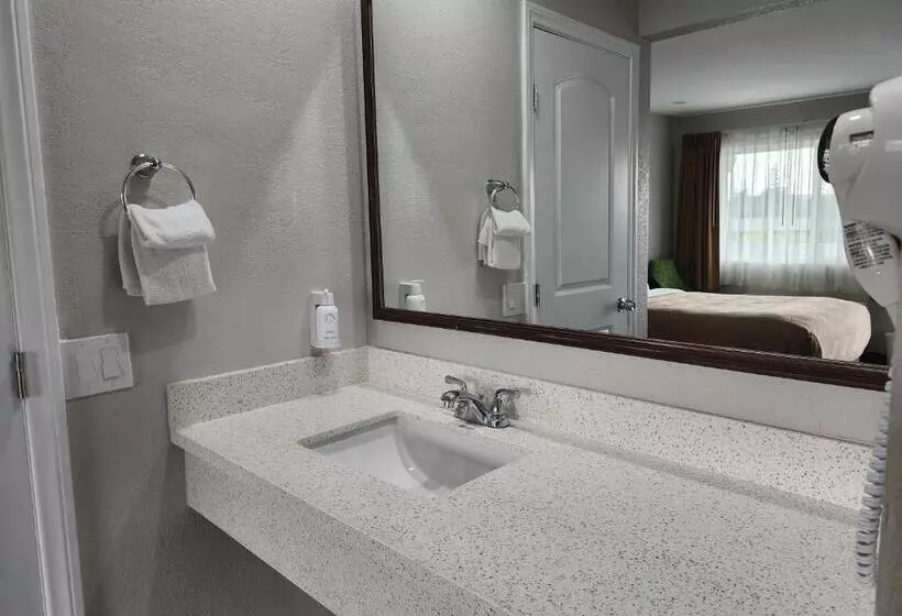 בית מלון כפרי The Grove At Pismo Beach