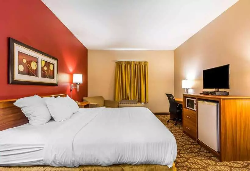 هتل Quality Inn & Suites Chesterfield Village
