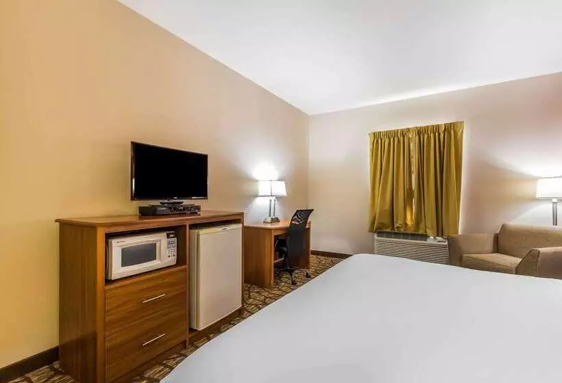 هتل Quality Inn & Suites Chesterfield Village