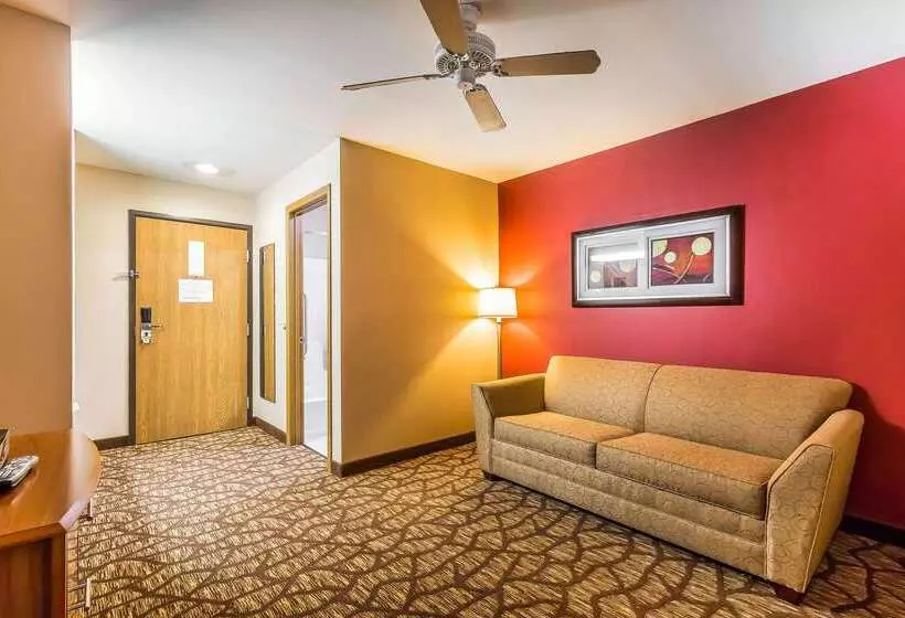هتل Quality Inn & Suites Chesterfield Village