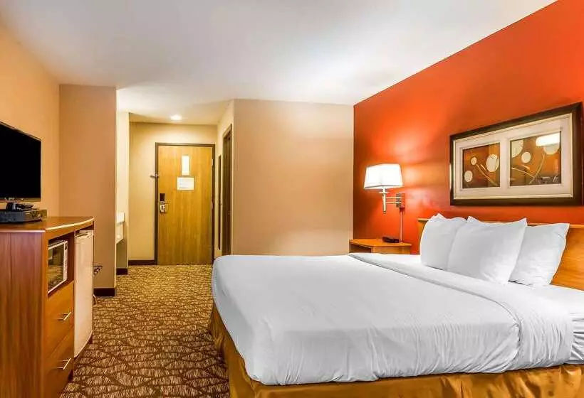 هتل Quality Inn & Suites Chesterfield Village