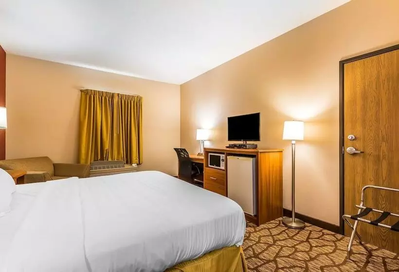 هتل Quality Inn & Suites Chesterfield Village