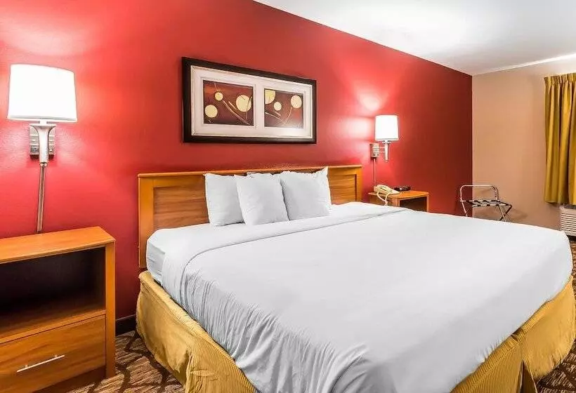 هتل Quality Inn & Suites Chesterfield Village