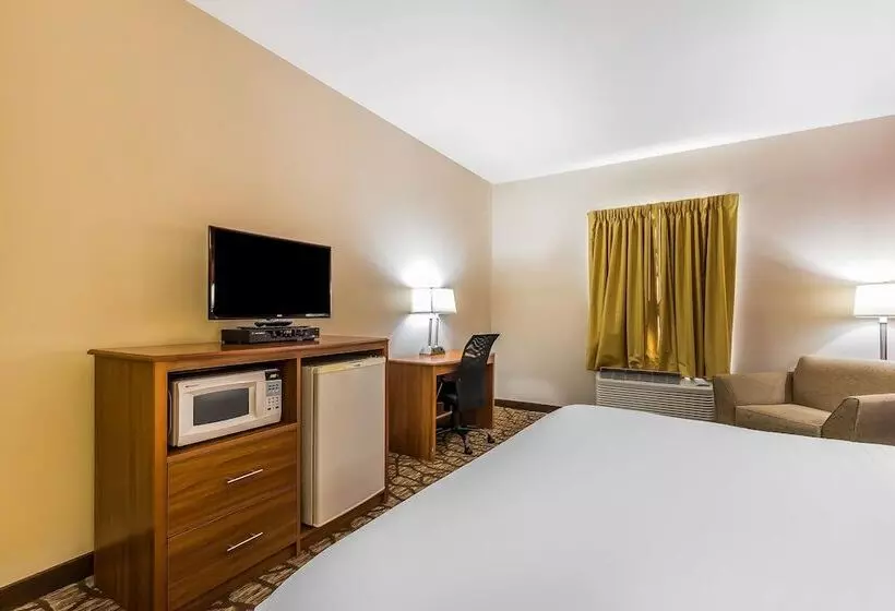 هتل Quality Inn & Suites Chesterfield Village