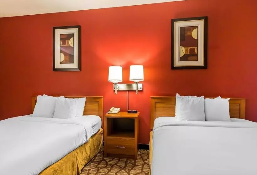 هتل Quality Inn & Suites Chesterfield Village