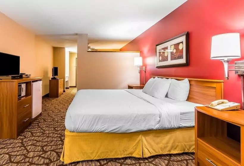 هتل Quality Inn & Suites Chesterfield Village