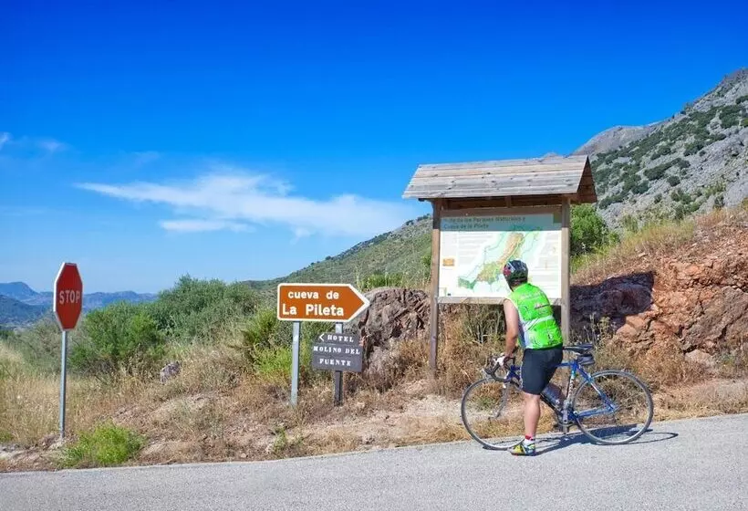 בית מלון כפרי Rural Molino Del Puente Ronda