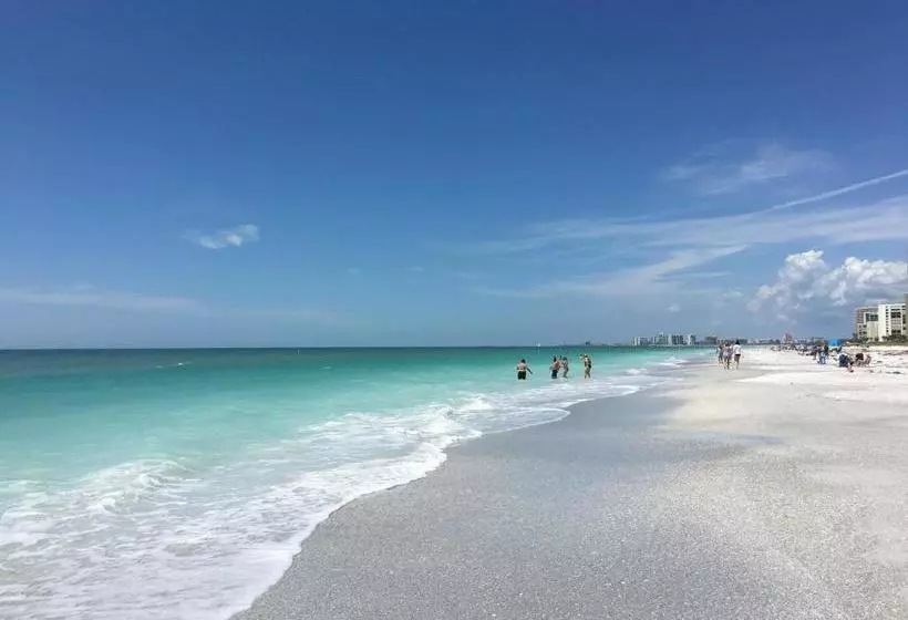 酒店 Belleair Beach Club