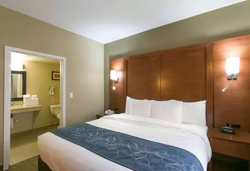 בית מלון כפרי Comfort Suites Austin Nw Lakeline