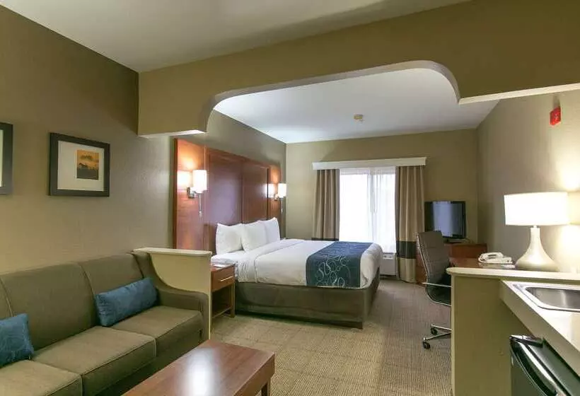 בית מלון כפרי Comfort Suites Austin Nw Lakeline