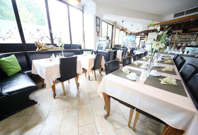 Отель Europa Offenbach