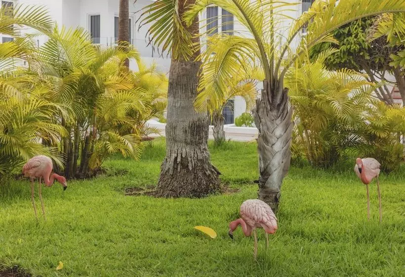 هتل Flamingo Beach Mate