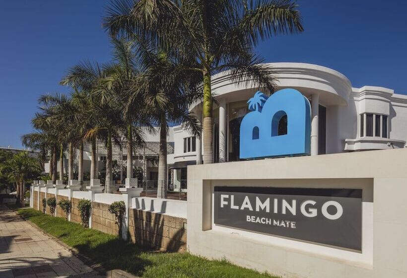 Hotel Flamingo Beach Mate