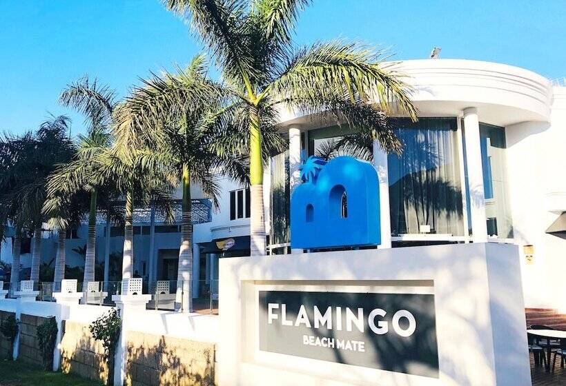Hotel Flamingo Beach Mate