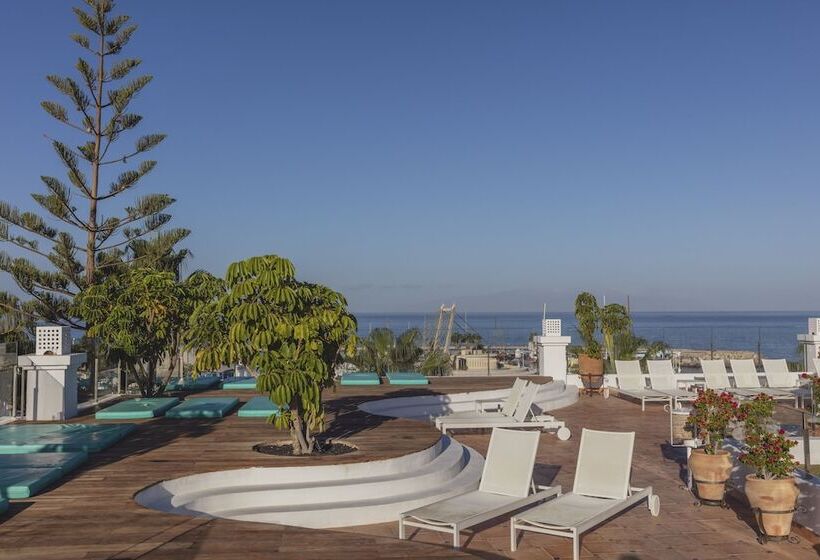 Hotel Flamingo Beach Mate