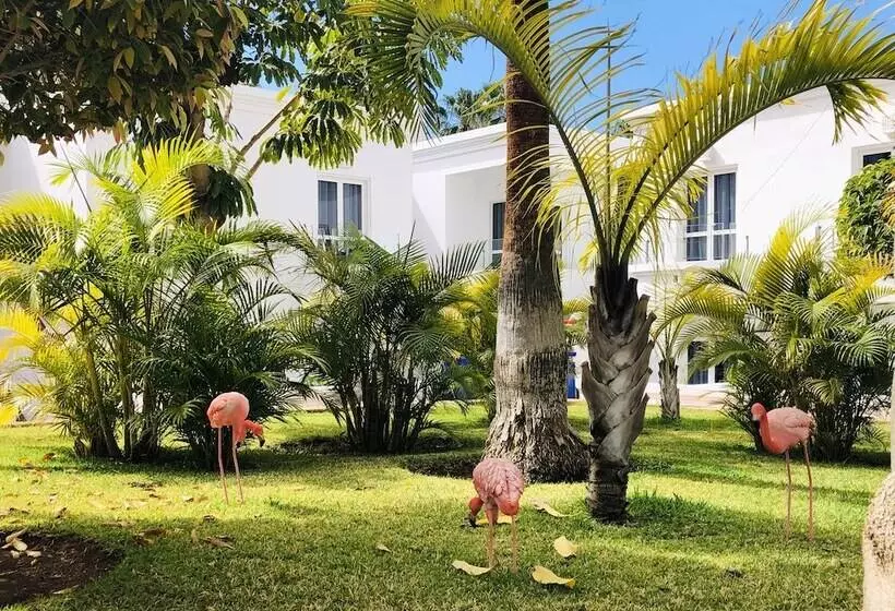 هتل Flamingo Beach Mate