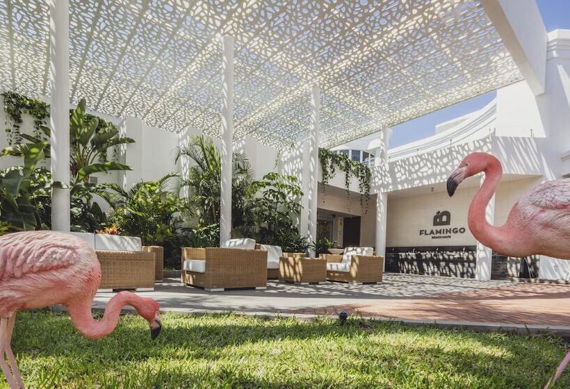 Hotel Flamingo Beach Mate