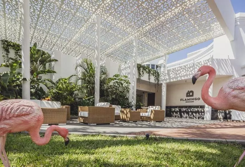 هتل Flamingo Beach Mate