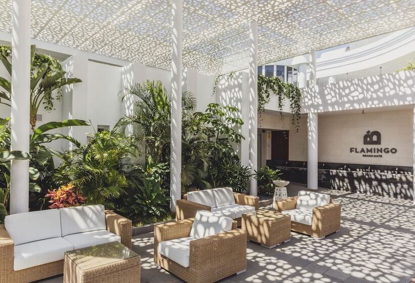 Hotel Flamingo Beach Mate