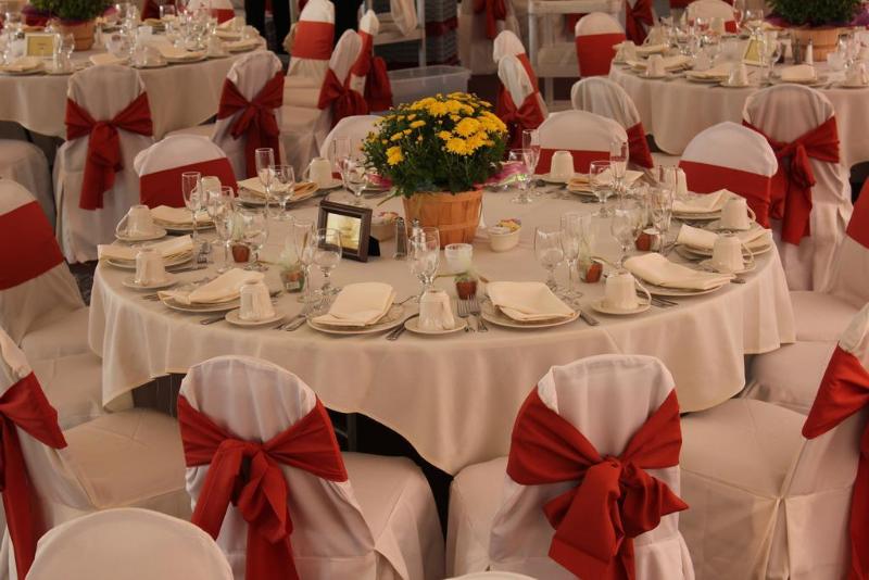 فندق Graduate By Hilton Storrs