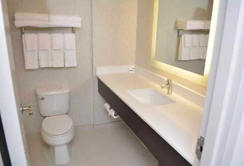 ホテル Holiday Inn Express & Suites Waterville North, An Ihg