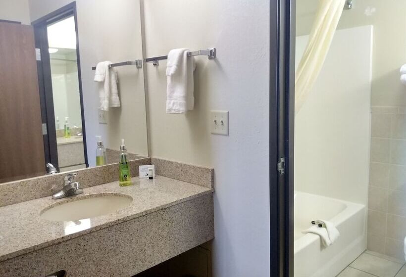 Madelia Hotel & Suites