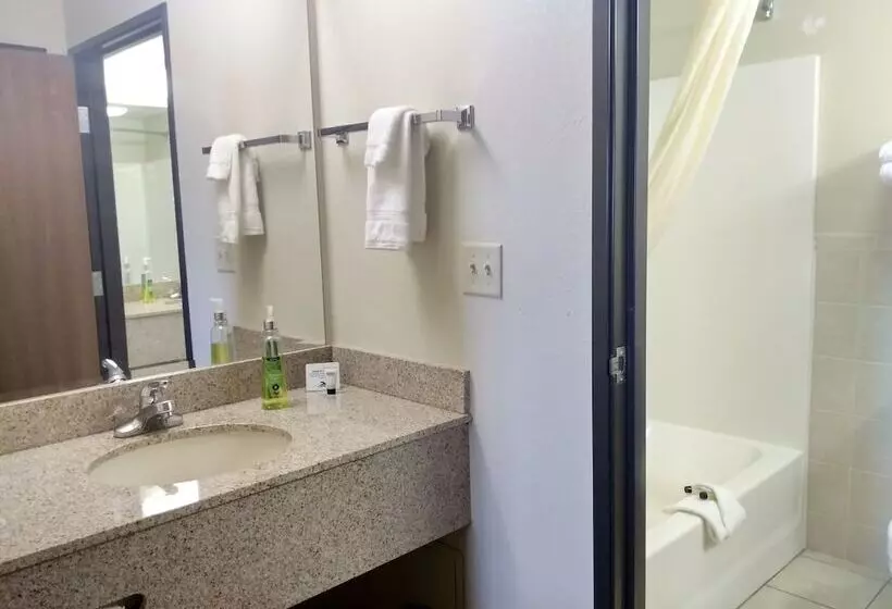 Madelia Hotel & Suites