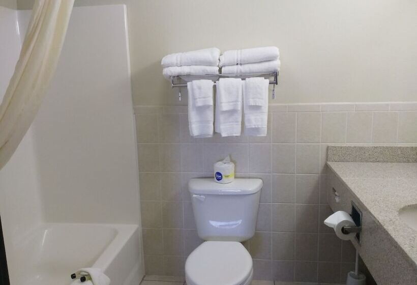 Madelia Hotel & Suites