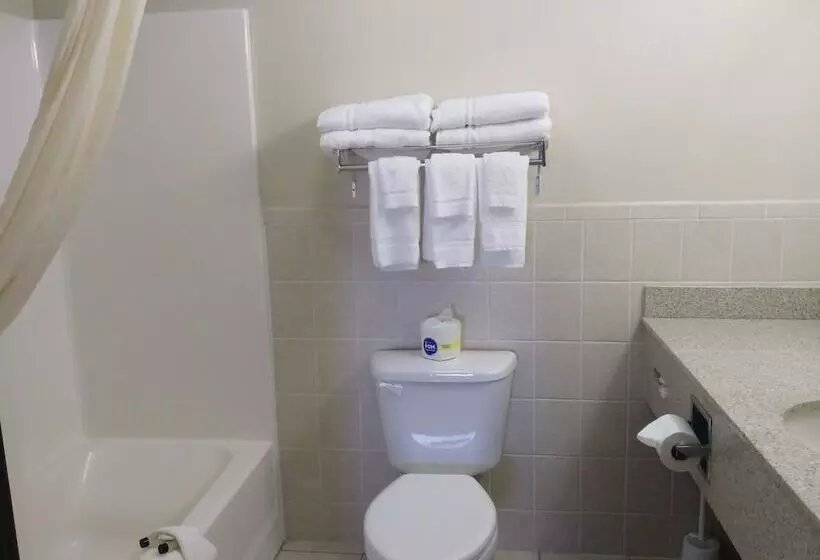 Madelia Hotel & Suites