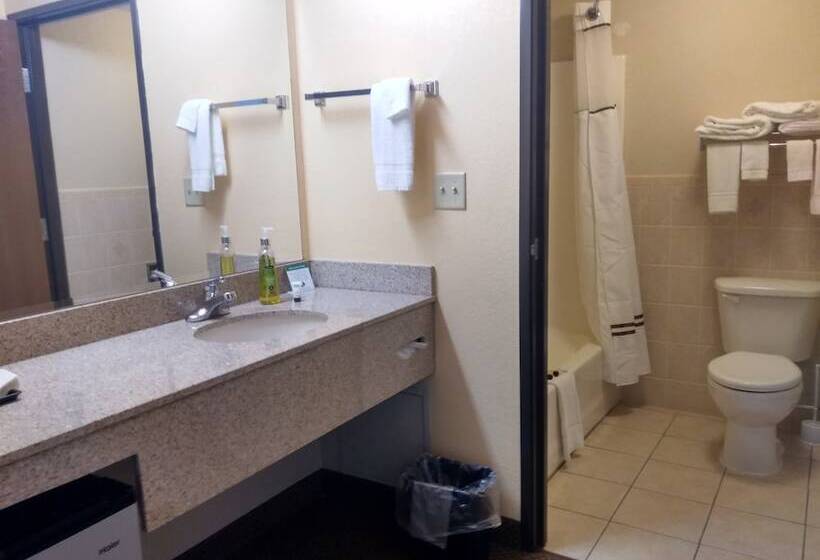 Madelia Hotel & Suites