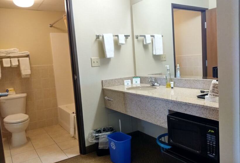 Madelia Hotel & Suites