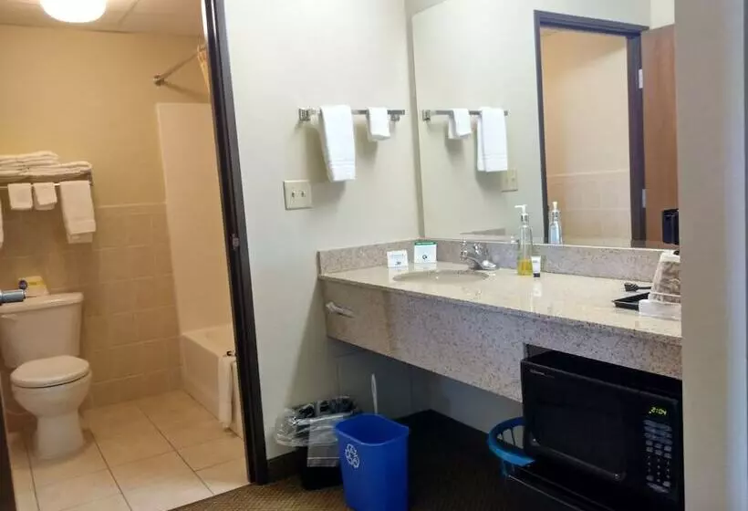 Madelia Hotel & Suites