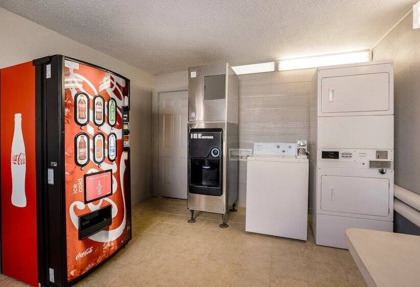 בית מלון כפרי Red Roof Inn Alexandria, La