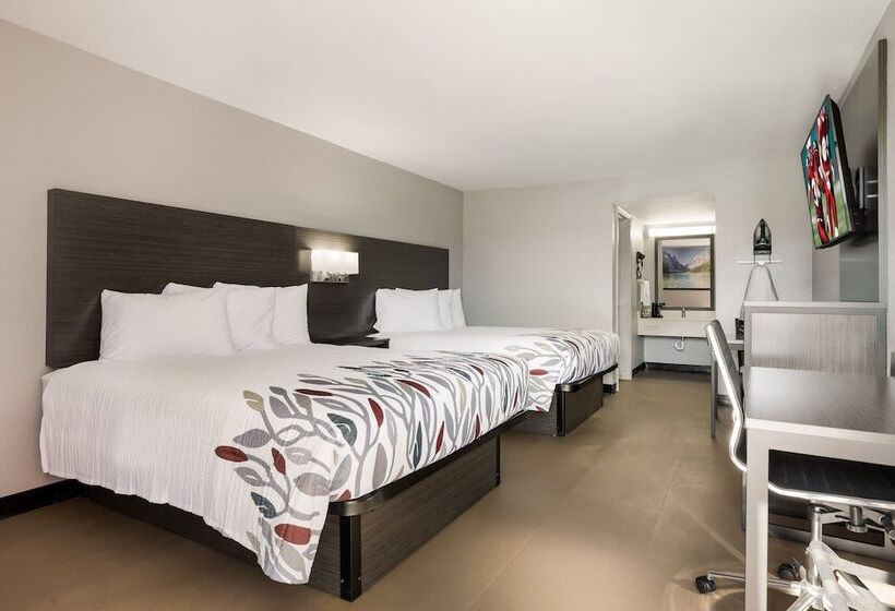 בית מלון כפרי Red Roof Inn Alexandria, La