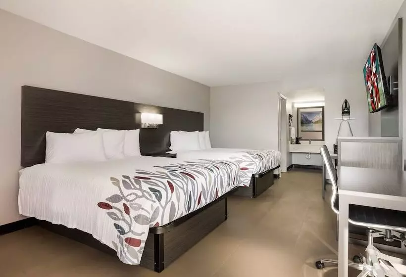 Hotelli Red Roof Inn Alexandria, La