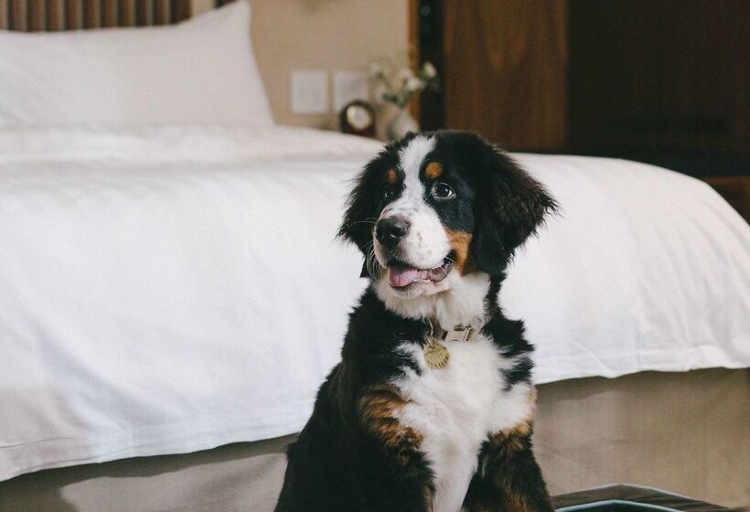 فندق Shangrila Vancouver