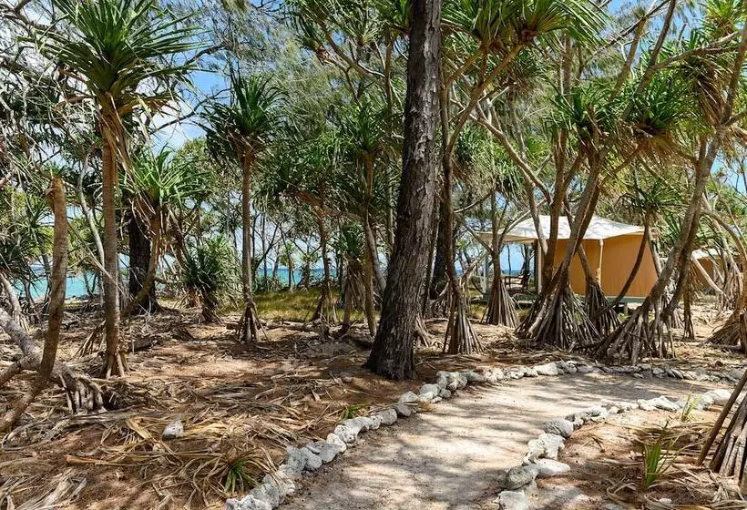 فندق Wilson Island