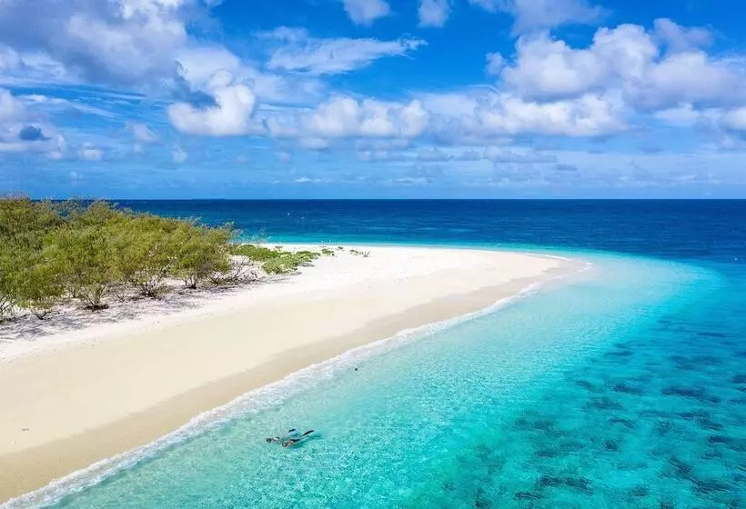 فندق Wilson Island