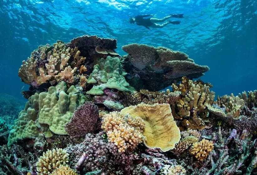 فندق Wilson Island