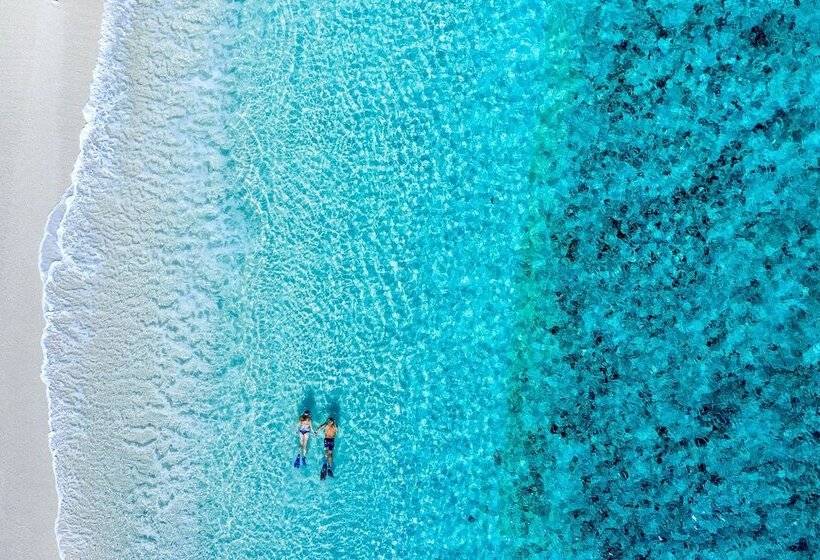 Отель Wilson Island