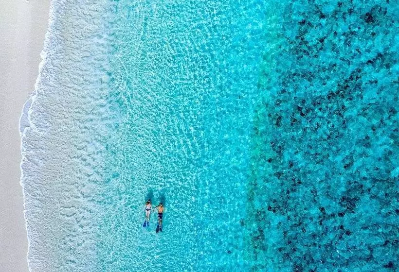 فندق Wilson Island