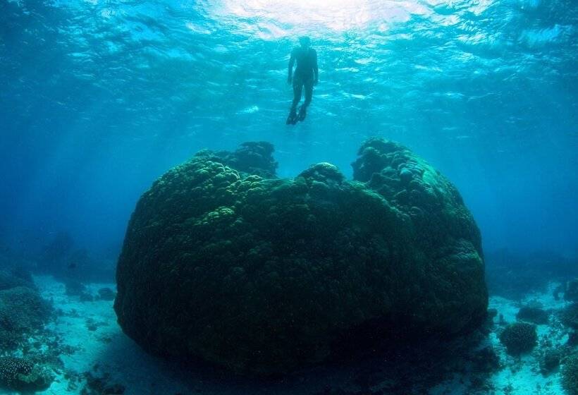 Отель Wilson Island