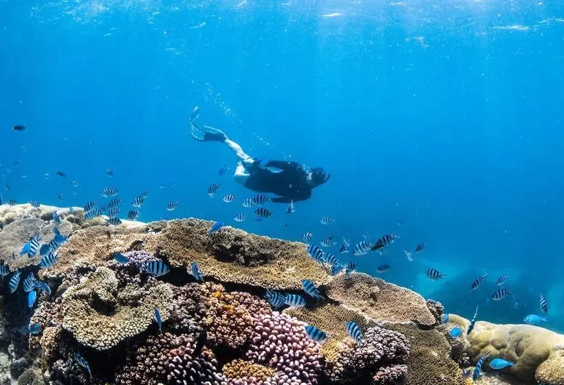 فندق Wilson Island