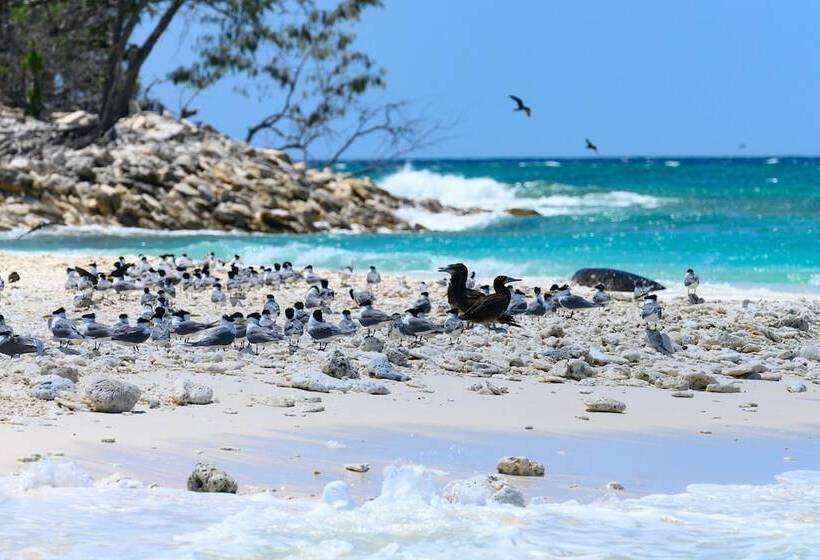 Отель Wilson Island