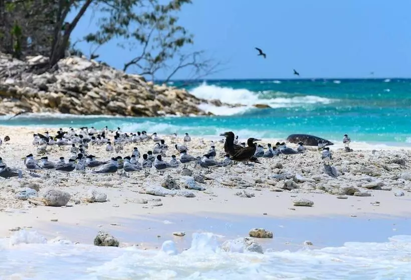 فندق Wilson Island