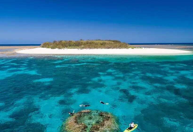 فندق Wilson Island