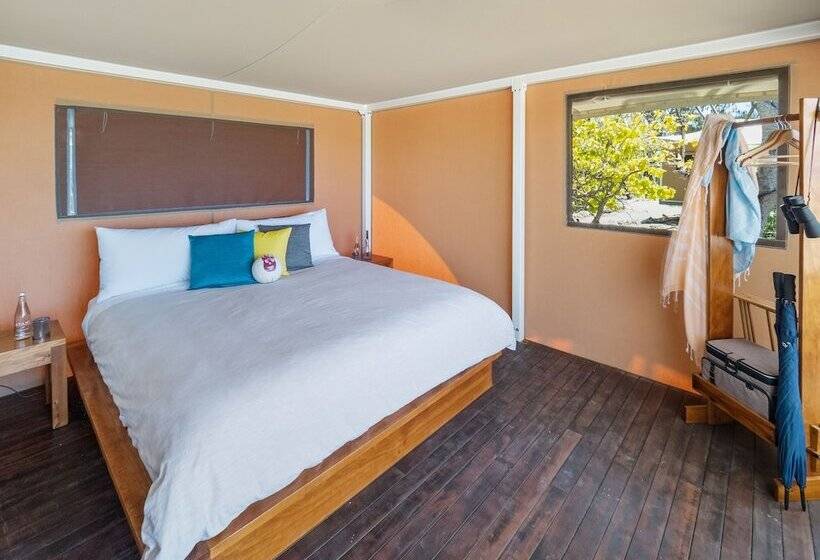 Отель Wilson Island