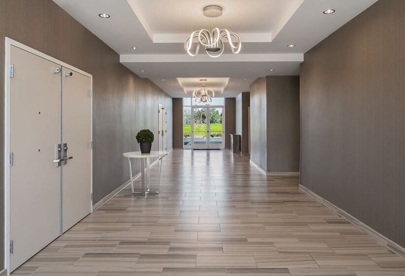 酒店 Springhill Suites By Marriott West Sacramento