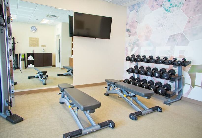 בית מלון כפרי Springhill Suites By Marriott West Sacramento