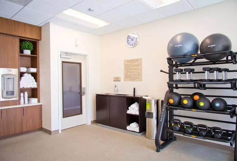 ホテル Springhill Suites By Marriott West Sacramento